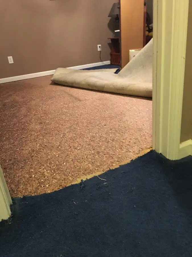 Carpet pad removal revealing water damage during Drying & Dehumidification in Gunnison