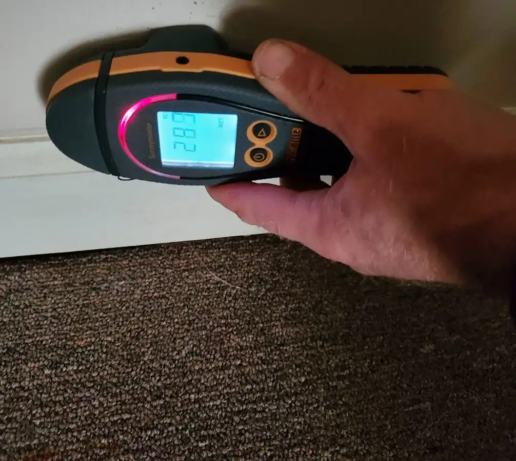 Moisture detection at baseboard during Mold Inspection & Testing in Gunnison